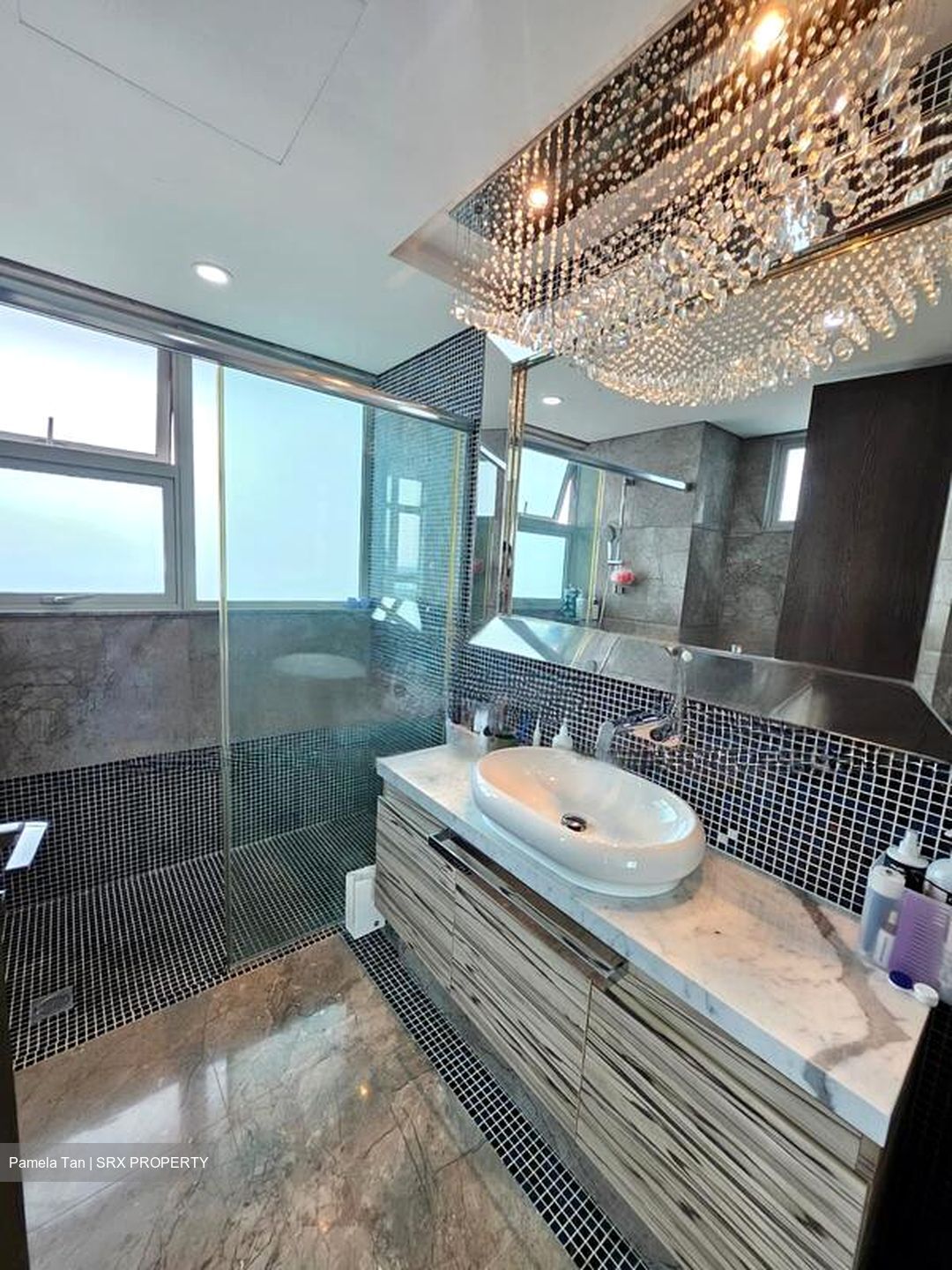 The Vision (D5), Condominium #482764541